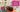 cover photos