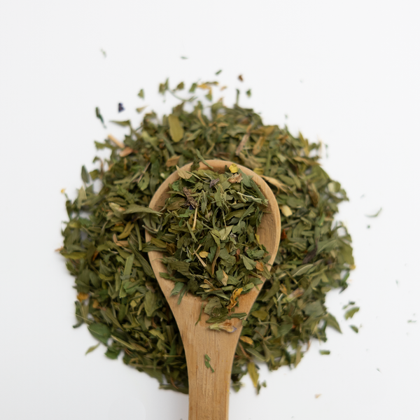 Wooden spoon filled with dried alfalfa herbs on a white background