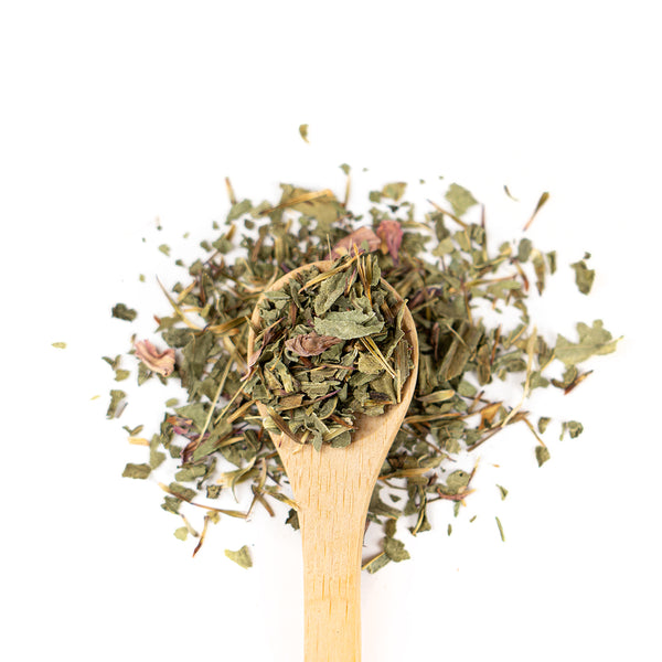 Wooden spoon of Organic Echinacea on a white background.