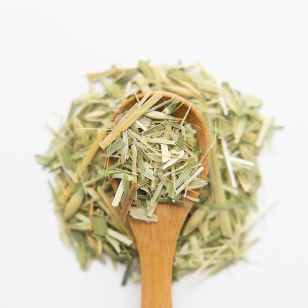 Wooden spoon filled with dried oatstraw on a white background