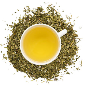 Organic Skullcap - Loose Leaf Tea - Full Leaf Tea Company