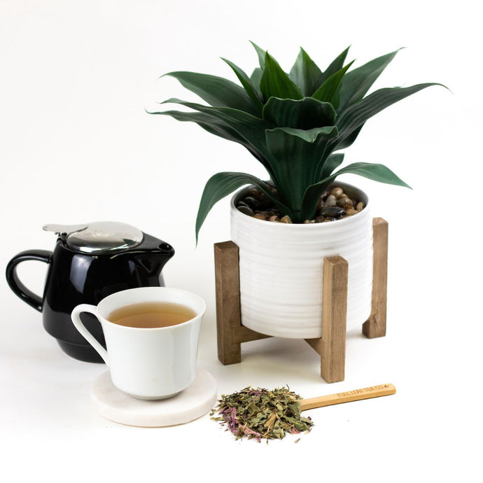 Tea set with a cup, teapot, and dried echinacea  next to a potted plant on a white background