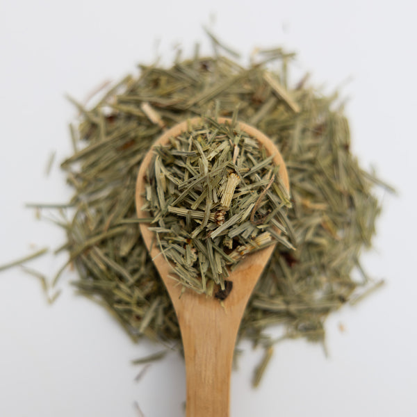 Wooden spoon filled with dried horsetail herbs on a white background
